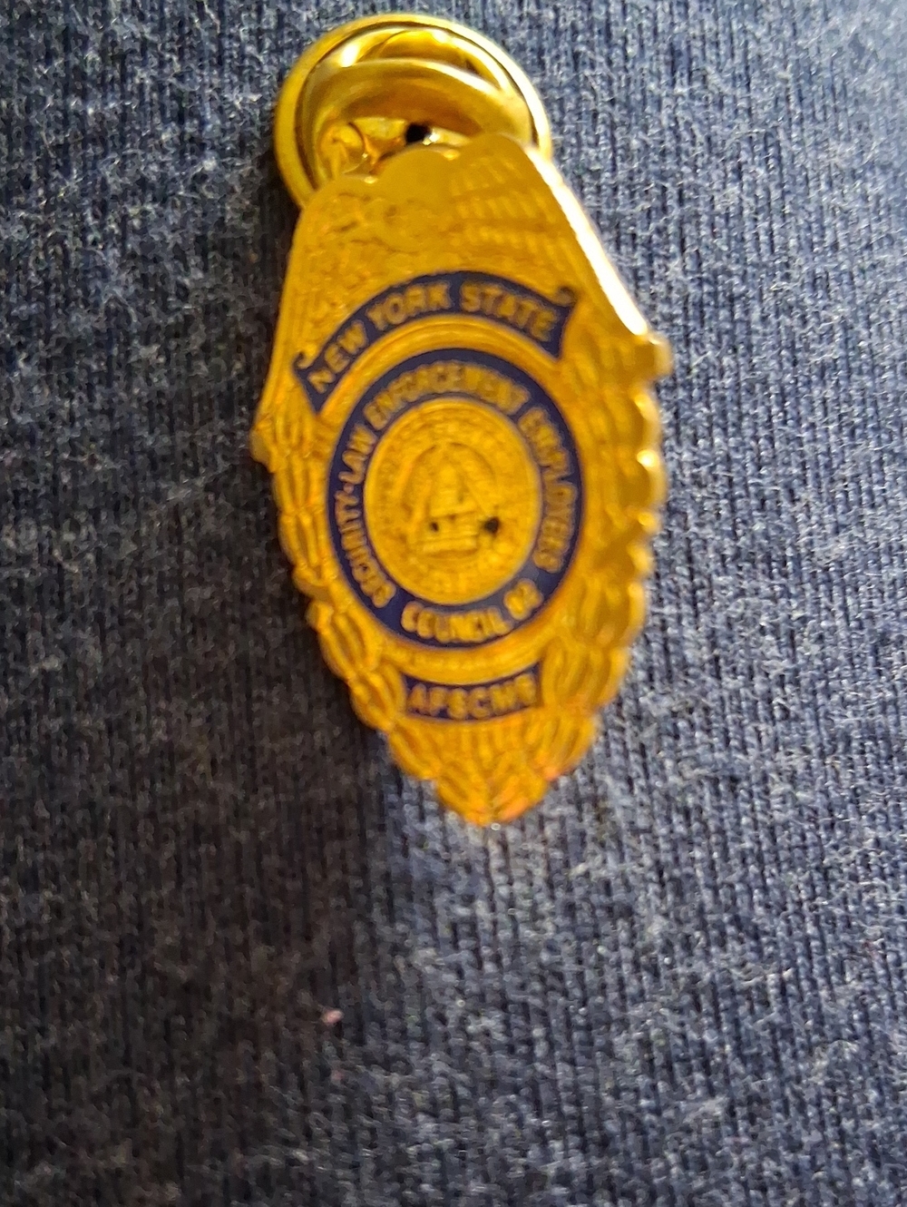 Gold and Blue Enamel Shield Lapel Pin - New York State Design